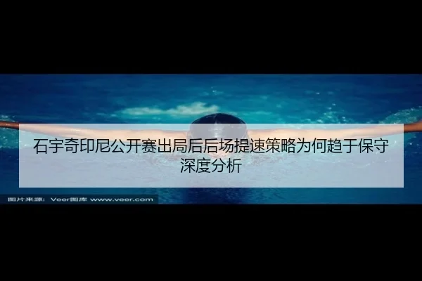 shi-yu-qi-yin-ni-gong-kai-sai-chu-ju-hou-hou-chang-ti-su-ce-lve-wei-he-qu-yu-bao-shou-shen-du-fen-xi-2-393.jpg